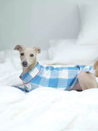 Dog wearing a blue checkered shirt on a white bed