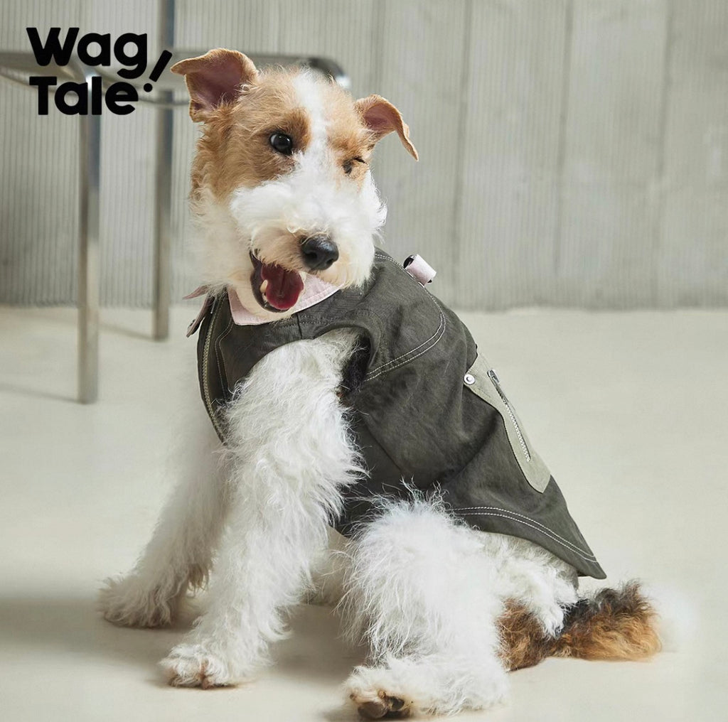 Dog wearing a gray coat with 'Wag Tale' branding in the background
