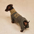 Dog wearing a green sweater with text on a beige background