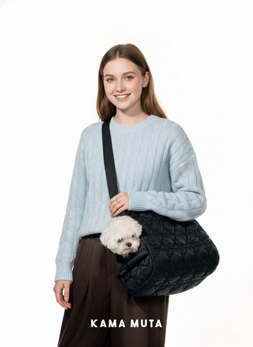 Pincone Enclosed Pet Carrier - VOF