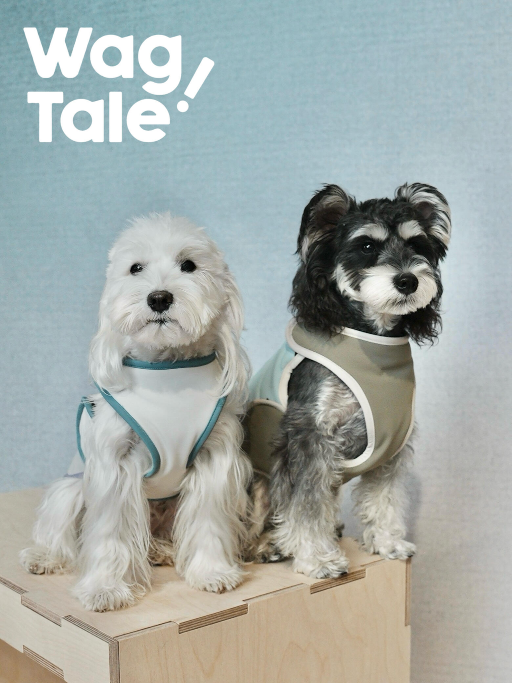 Reversible Waterproof Dog Vest