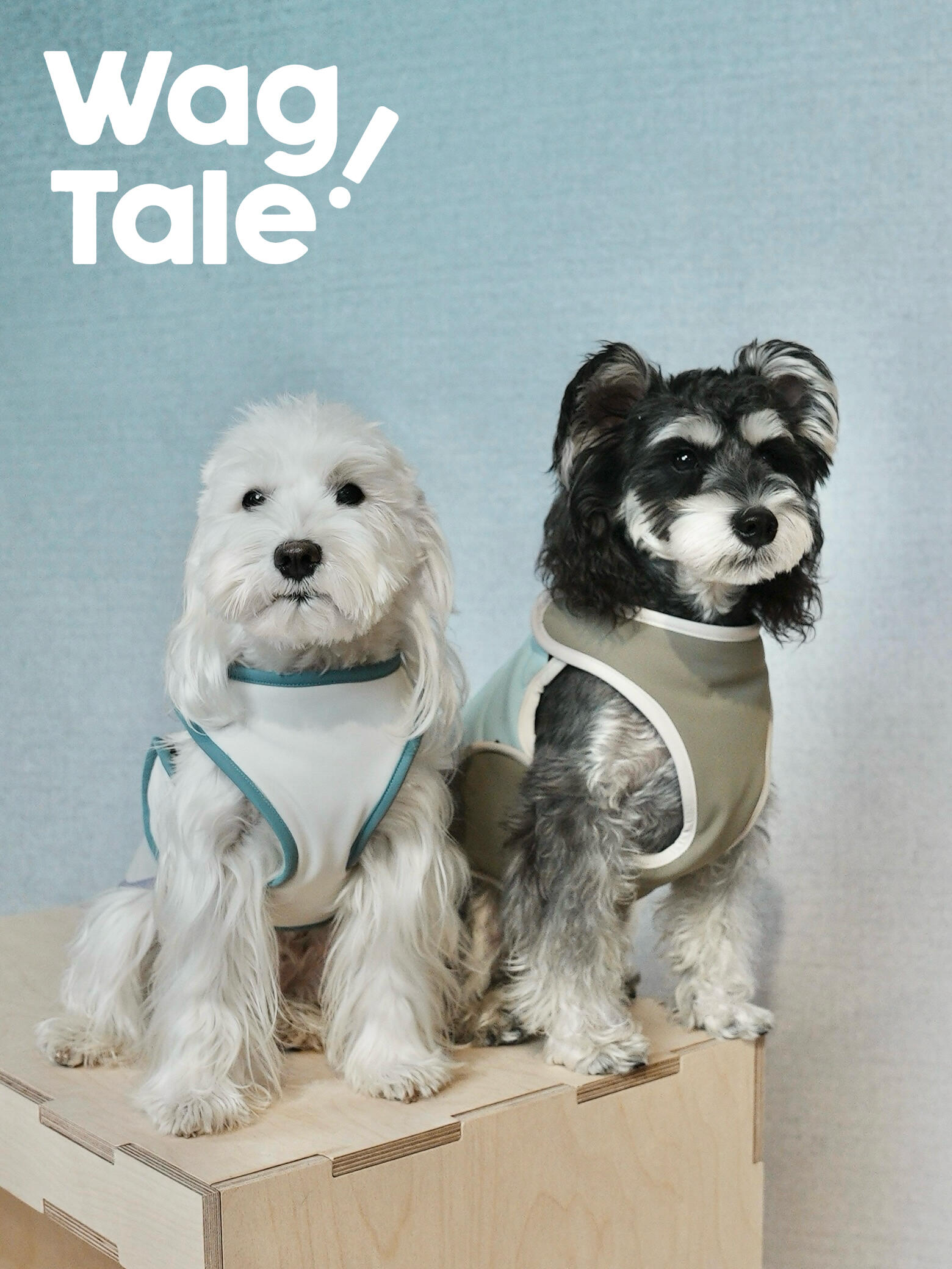 Reversible Waterproof Dog Vest