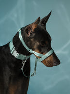 Dog Headcollar Mint - VOF