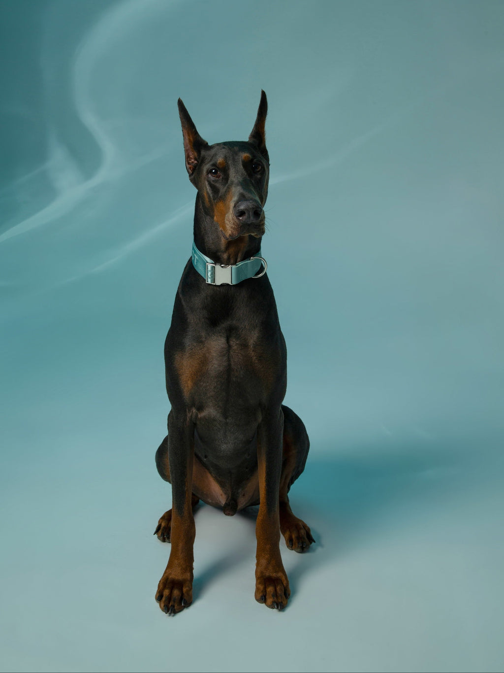 Dog Collar Mint - VOF