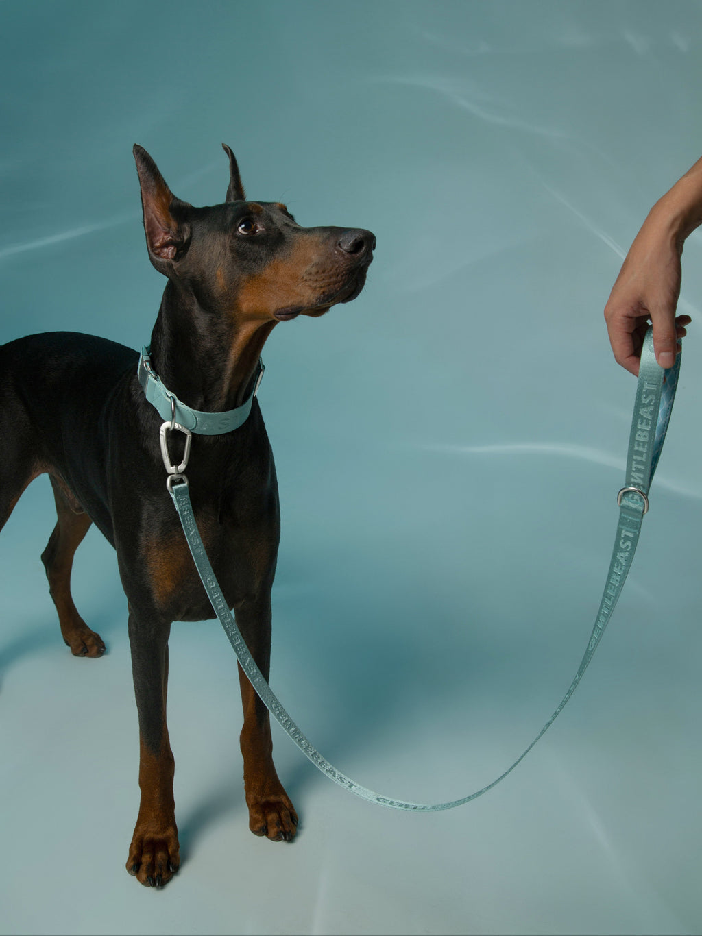 Mint blue dog leash by GENTLEBEAST displayed on a textured surface, showcasing its color and durable design.