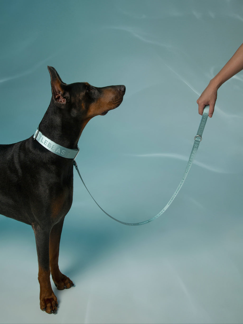 Mint blue GENTLEBEAST dog leash laid flat on a textured surface, showcasing its color and sturdy clip attachment.