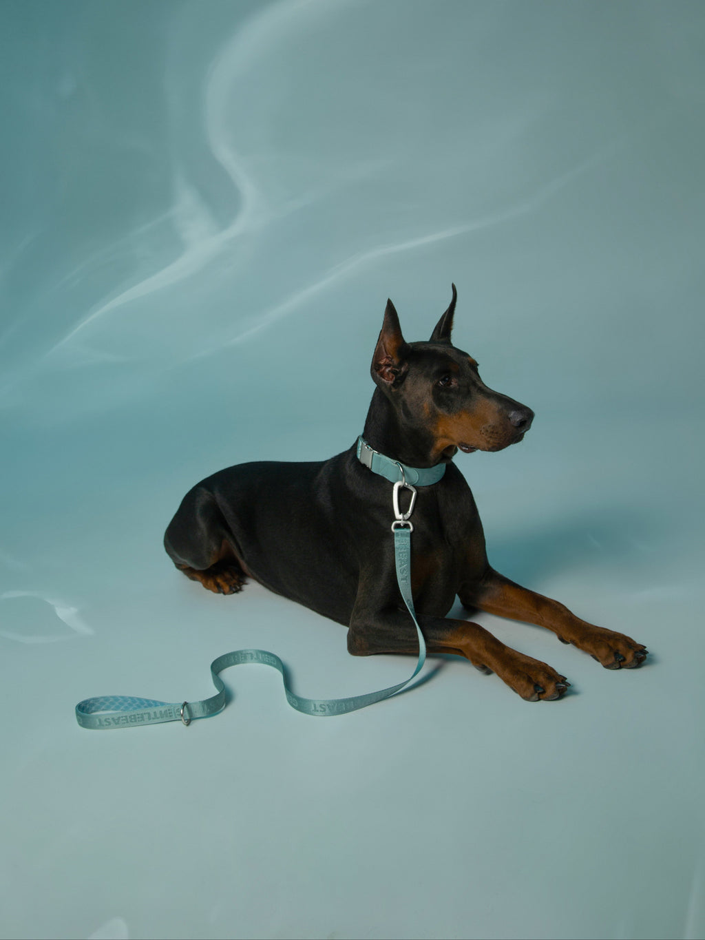 Mint blue GENTLEBEAST dog leash hanging on a wooden hook with a soft texture and sturdy clasp visible.