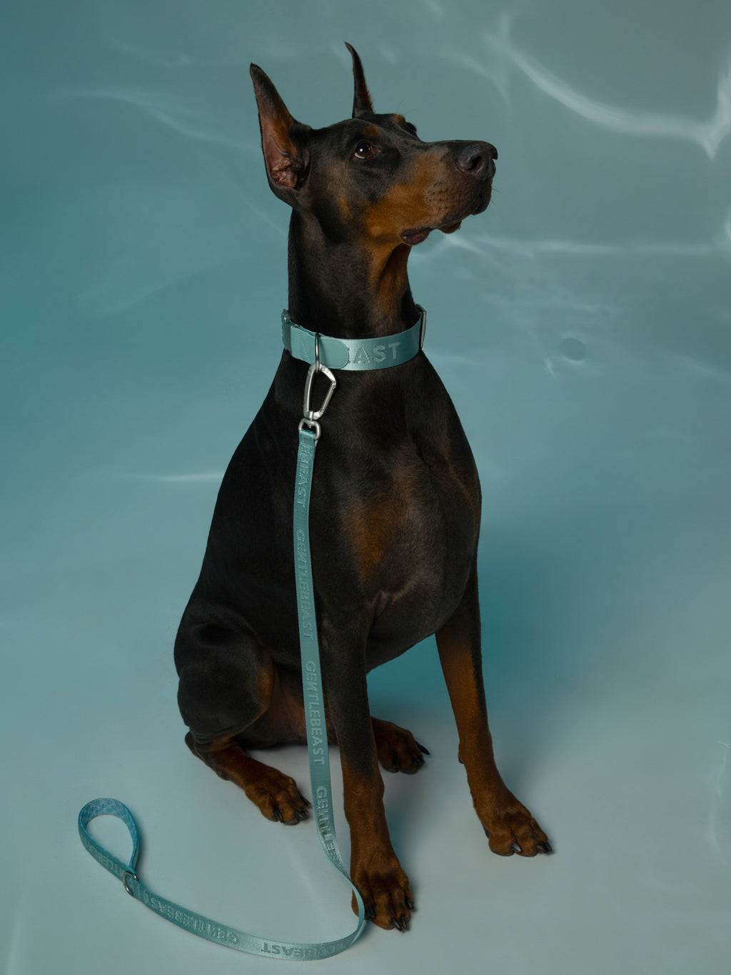 Mint blue GENTLEBEAST dog leash laid flat, showcasing its sturdy clip and soft handle.