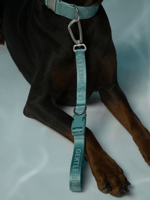 Mint blue short leash for dogs by GENTLEBEAST, featuring a sturdy handle and durable clip for pet safety.