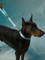 GENTLEBEAST mint blue dog short leash displayed on a wooden surface with a vibrant outdoor background.