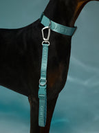 Mint blue GENTLEBEAST short dog leash displayed on a clean background, showcasing its durable material and sleek design.