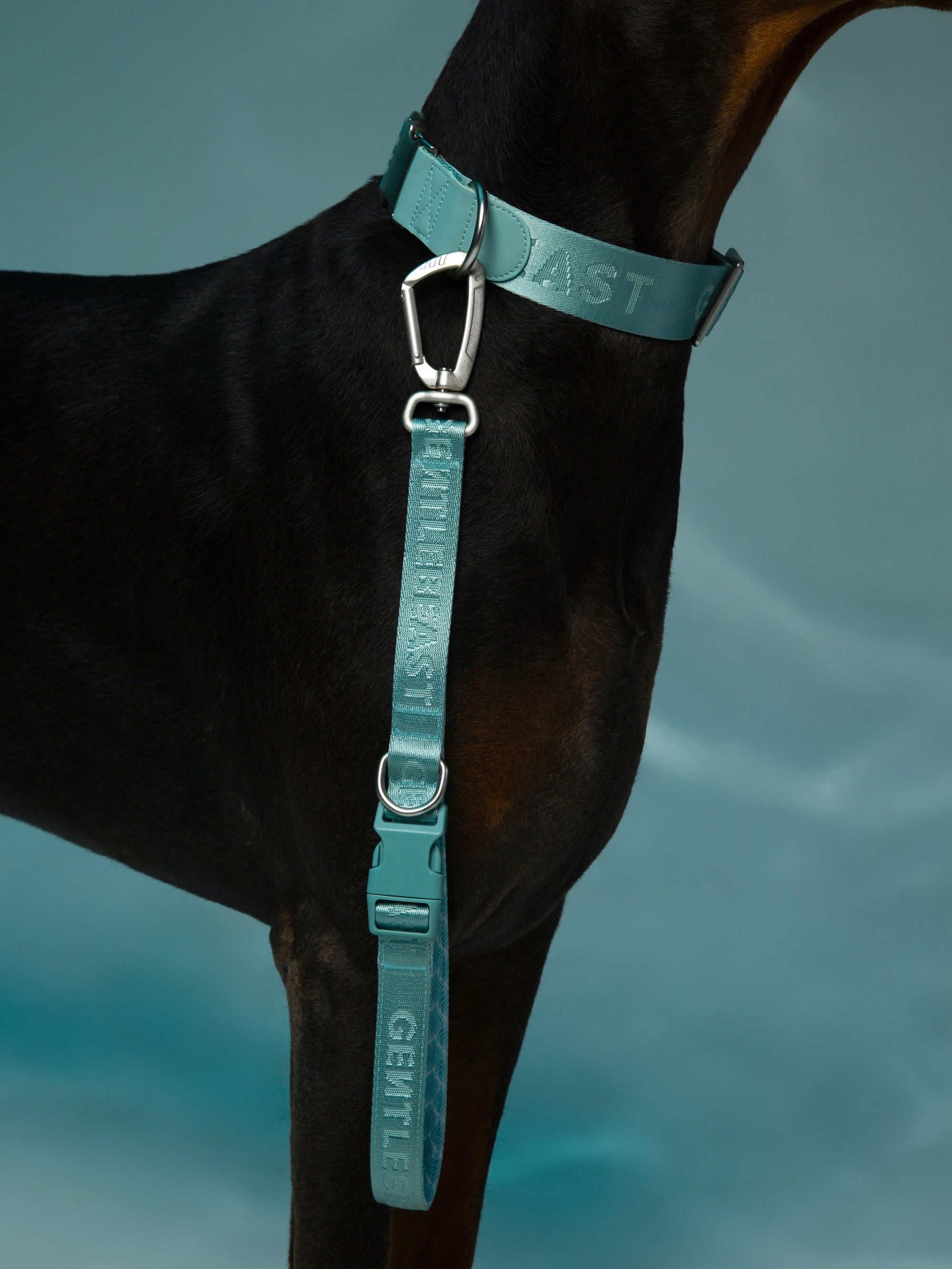 Mint blue GENTLEBEAST short dog leash displayed on a clean background, showcasing its durable material and sleek design.