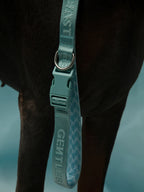 Mint blue short dog leash by GENTLEBEAST, featuring a sturdy clip and comfortable grip handle.