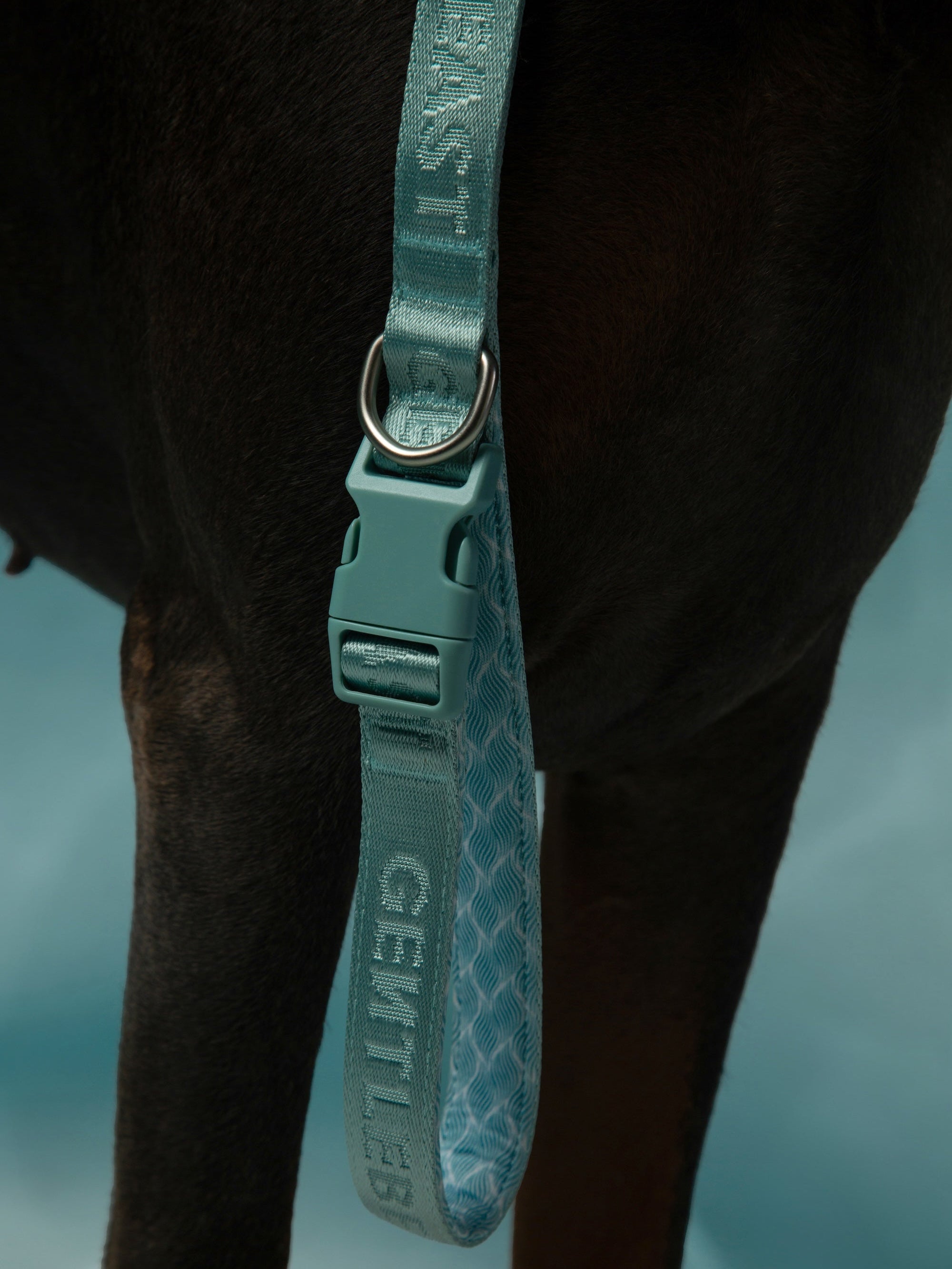 Mint blue short dog leash by GENTLEBEAST, featuring a sturdy clip and comfortable grip handle.