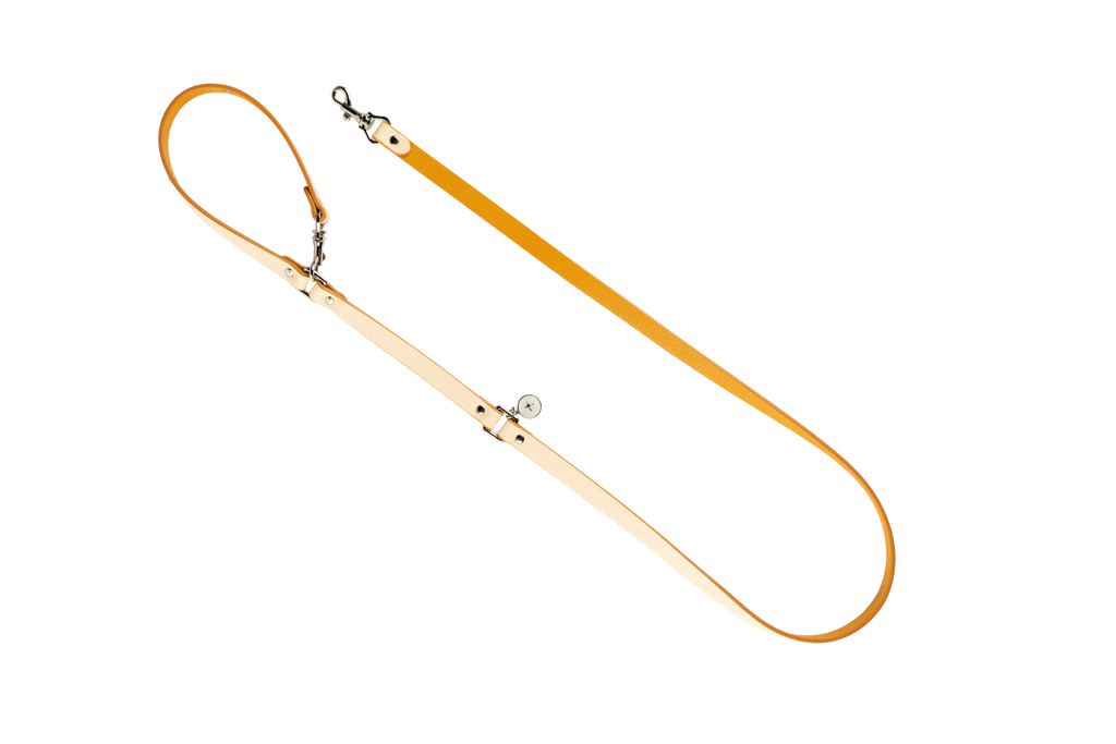 Orange dog leash with a hook on a white background