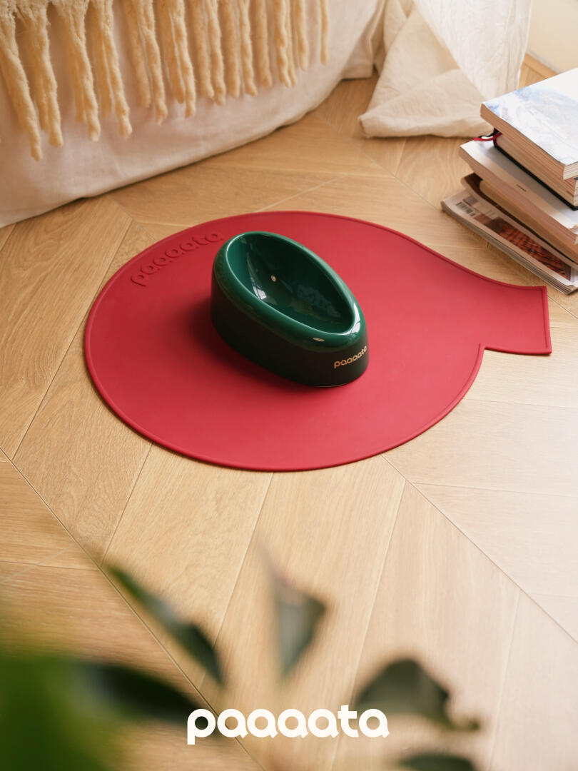 Red mat with a green bowl on a wooden floor, featuring the brand 'paaato'.