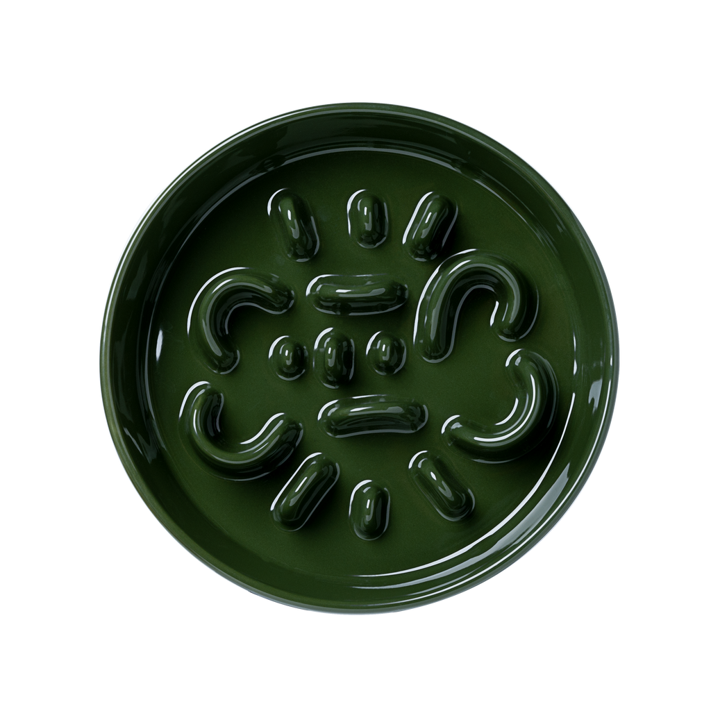 Round Slower feeder bowl Green