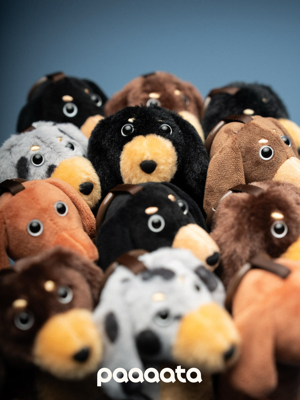 Stack of plush dogs with a blue gradient background and 'paaaata' branding.