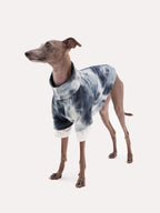 Corduroy dog shirt with tie dye pattern on a sighthound, designed for lightweight comfort and freedom of movement