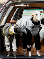 Two sighthounds wearing Woofitude winter dog puffer vests in light grey and charcoal colors. 