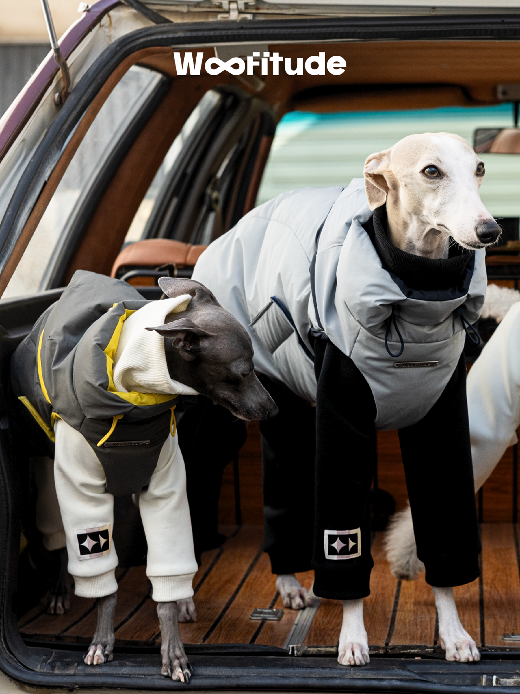 Two sighthounds wearing Woofitude winter dog puffer vests in light grey and charcoal colors. 