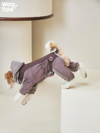 Dog jumping in a purple insulated four-leg winter dog suit; flexible fit and full-body coverage shown for active movement during cold weather walks.