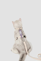 Back view of a cat harness with leash attached, showing the adjustable straps, back label panel, and metal clip connection point.