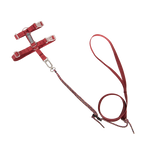 Adjustable cat harness and leash set in red, flat lay view highlighting the H-shape harness design, metal clasp, and lightweight leash.