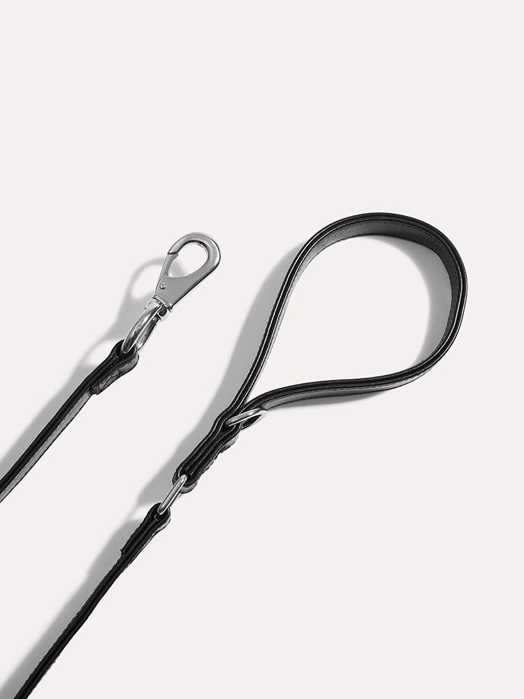 Adjustable dog leash handle with polished metal clasp and reinforced leather stitching.