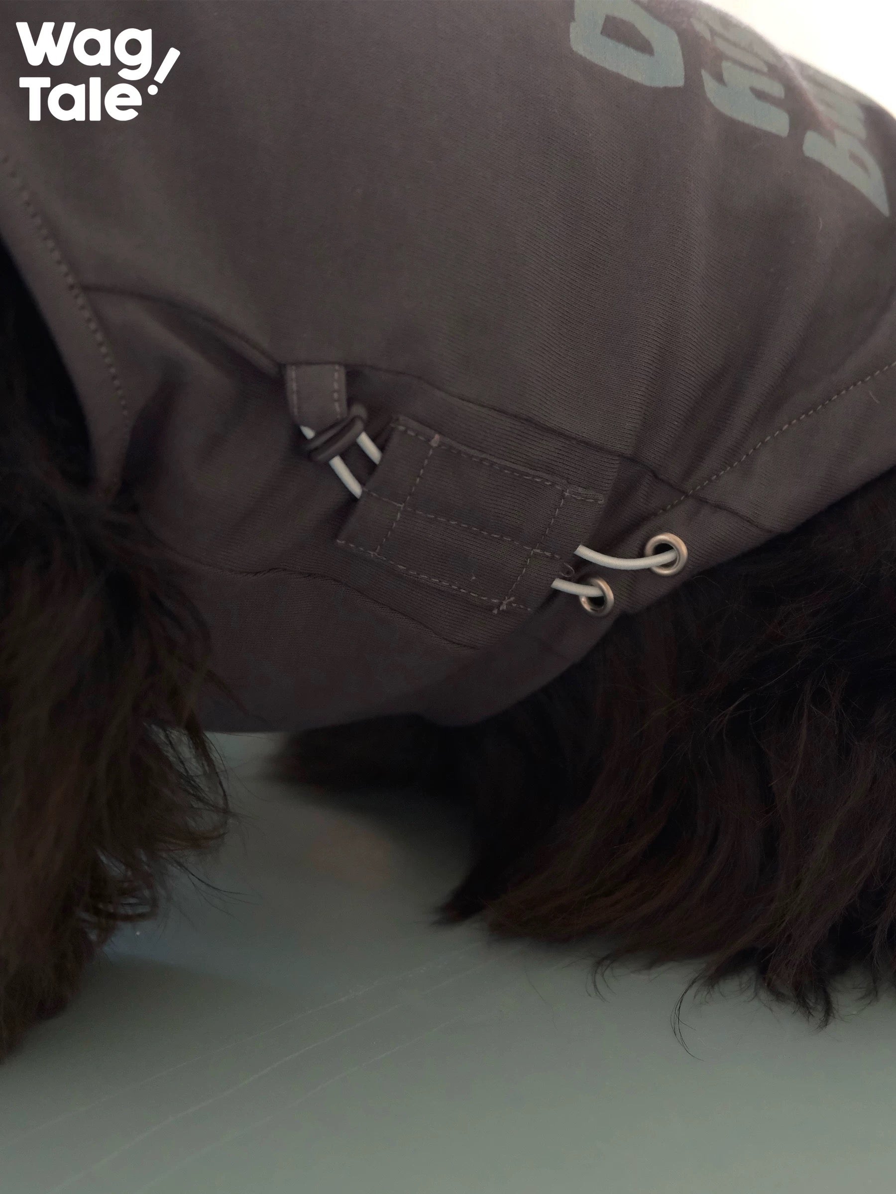 Close-up detail of the adjustable drawstring hem on a graphic dog vest, designed to fine-tune fit and length for different body shapes.