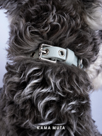 Adjustable leather dog collar showing metal buckle and reinforced eyelets during wear