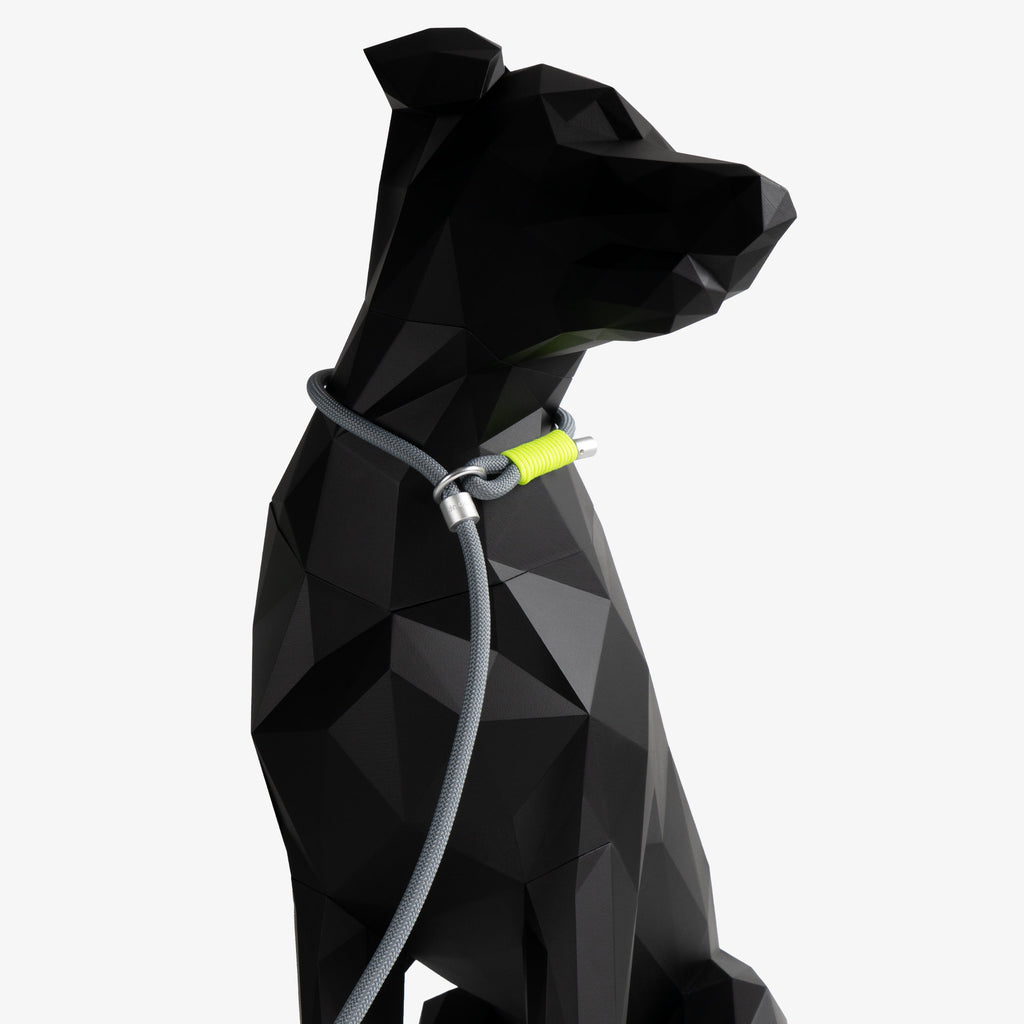 Adjustable rope dog leash worn around a dog’s neck, demonstrating slip-style use with an aluminum stopper for controlled walking.