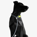 Adjustable rope dog leash worn around a dog’s neck, demonstrating slip-style use with an aluminum stopper for controlled walking.