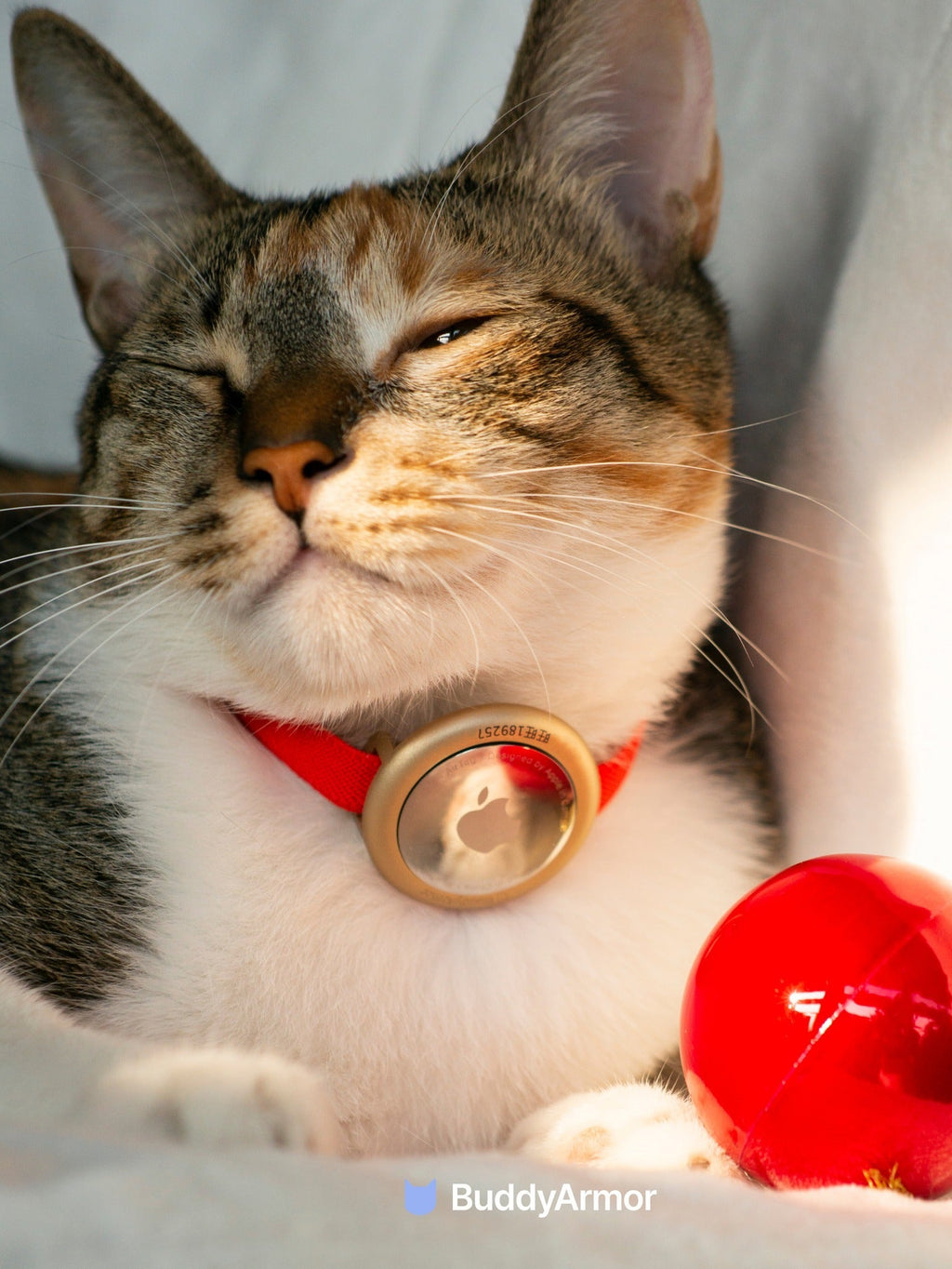 AirTag holder for cat collar made of aluminum alloy, lightweight and non-dangling