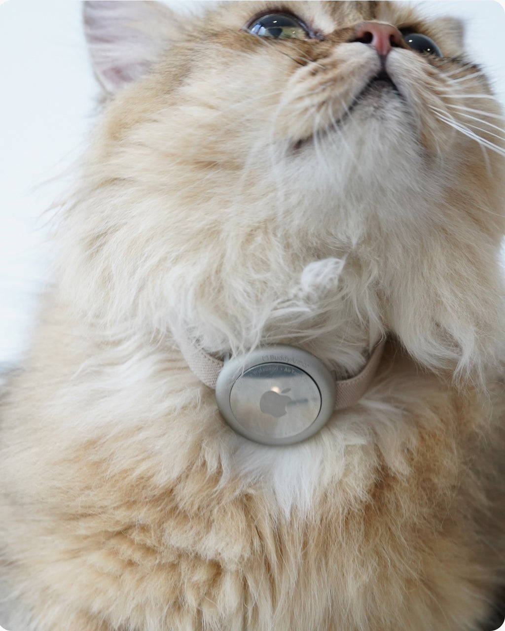 Lightweight aluminum AirTag pet collar holder designed for long hair cats