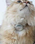 Lightweight aluminum AirTag pet collar holder designed for long hair cats