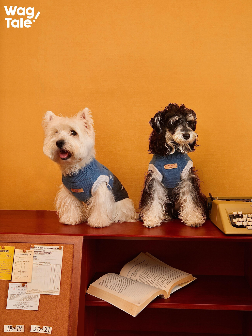 Two small dogs wearing blue anti-pilling knitted dog sweaters with a vintage-style leather patch; studio lifestyle scene on a bookshelf with books and a typewriter.