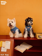 Two small dogs wearing blue anti-pilling knitted dog sweaters with a vintage-style leather patch; studio lifestyle scene on a bookshelf with books and a typewriter.