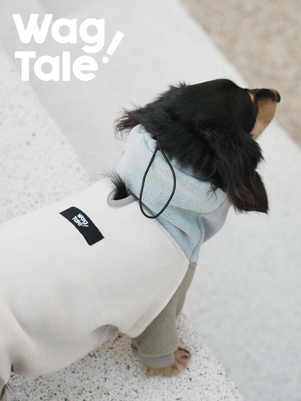 Back view of a dachshund wearing an anti-static fleece dog suit with a high neck, showing the soft double-sided fabric and clean full-body silhouette for winter comfort.