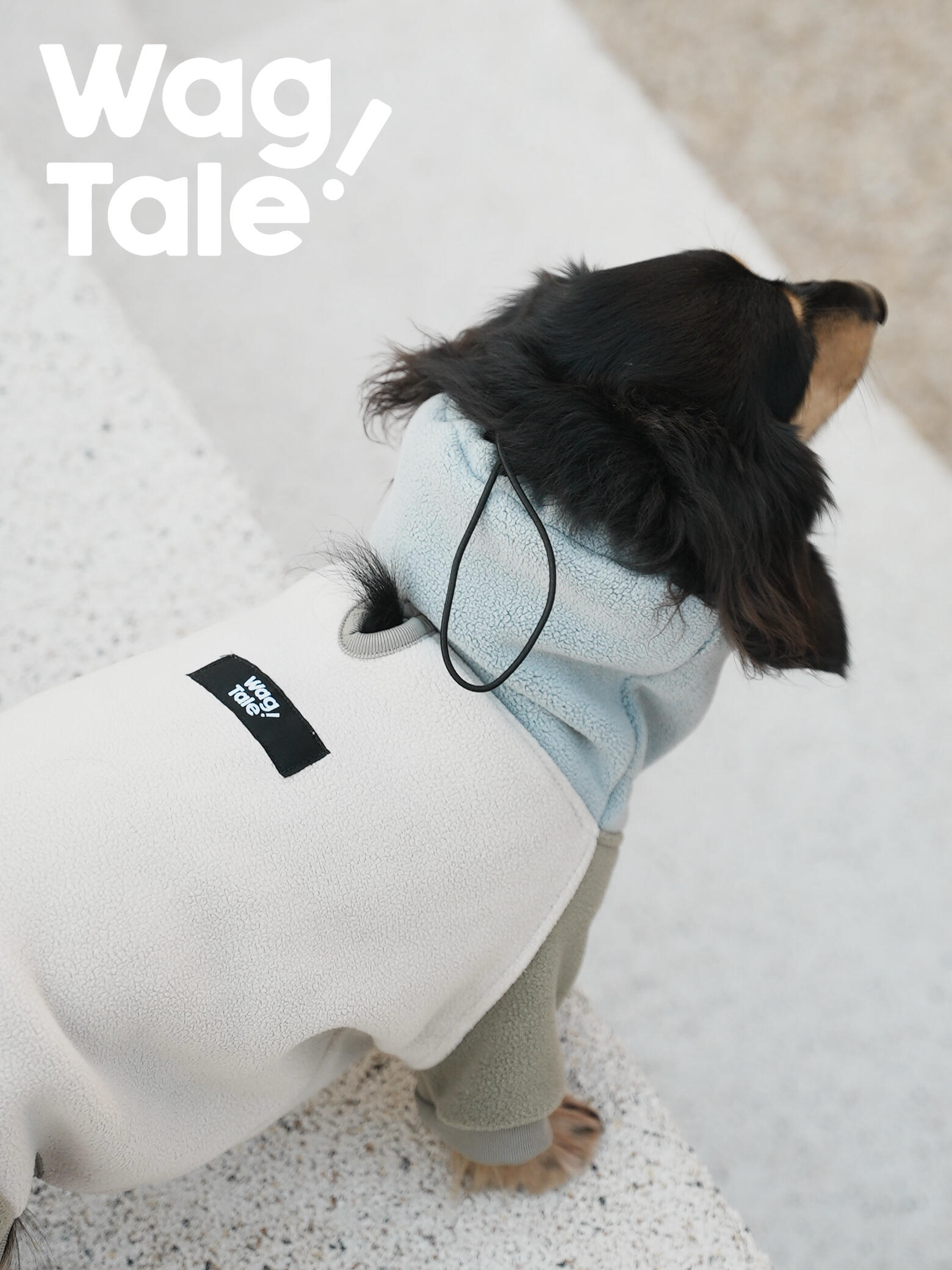 Back view of a dachshund wearing an anti-static fleece dog suit with a high neck, showing the soft double-sided fabric and clean full-body silhouette for winter comfort.