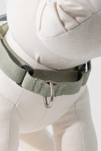  Close-up of the back D-ring attachment on the olive green no-pull dog harness, showing the webbing strap, reinforced stitching, and metal ring