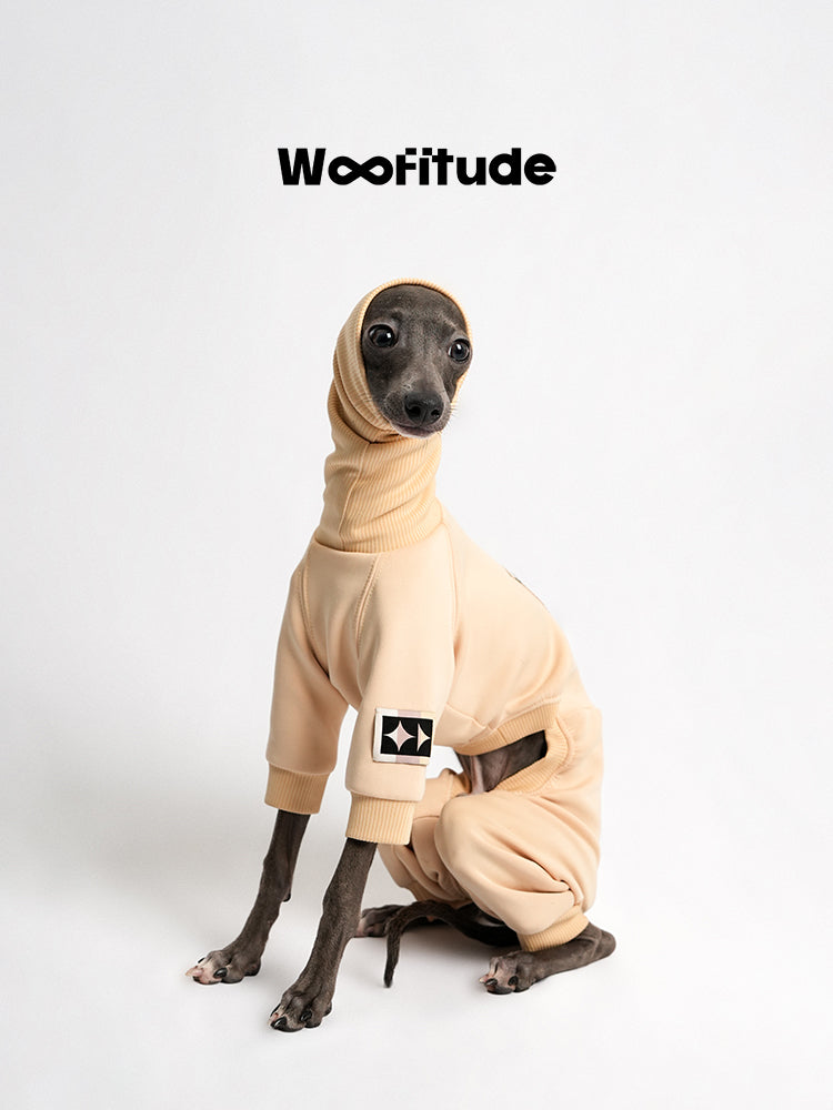 Beige dog suit with four-leg coverage shown on a dog sitting against a white background