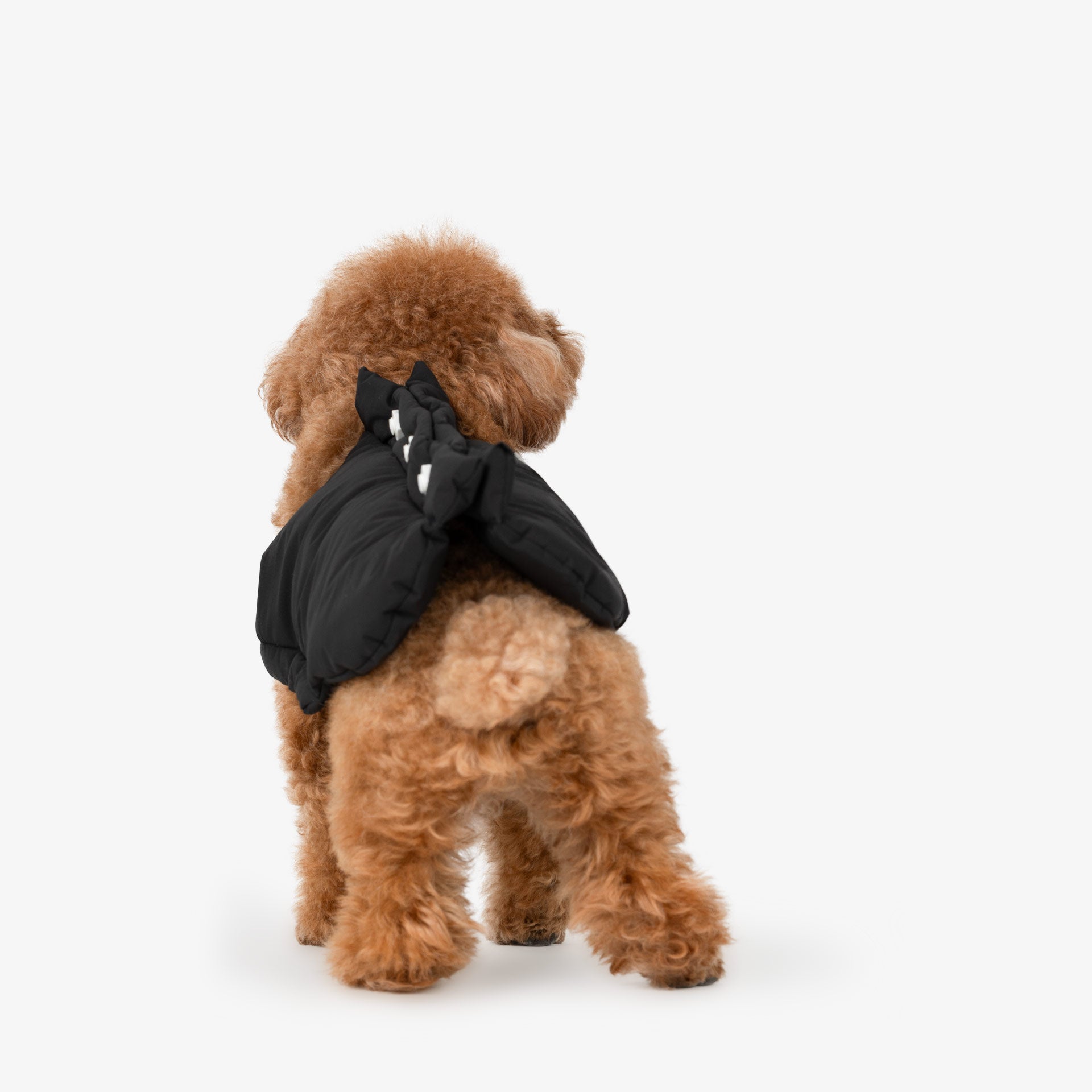 Back view of a black insulated dog vest showing full coverage and structured padding for cold-weather wear.
