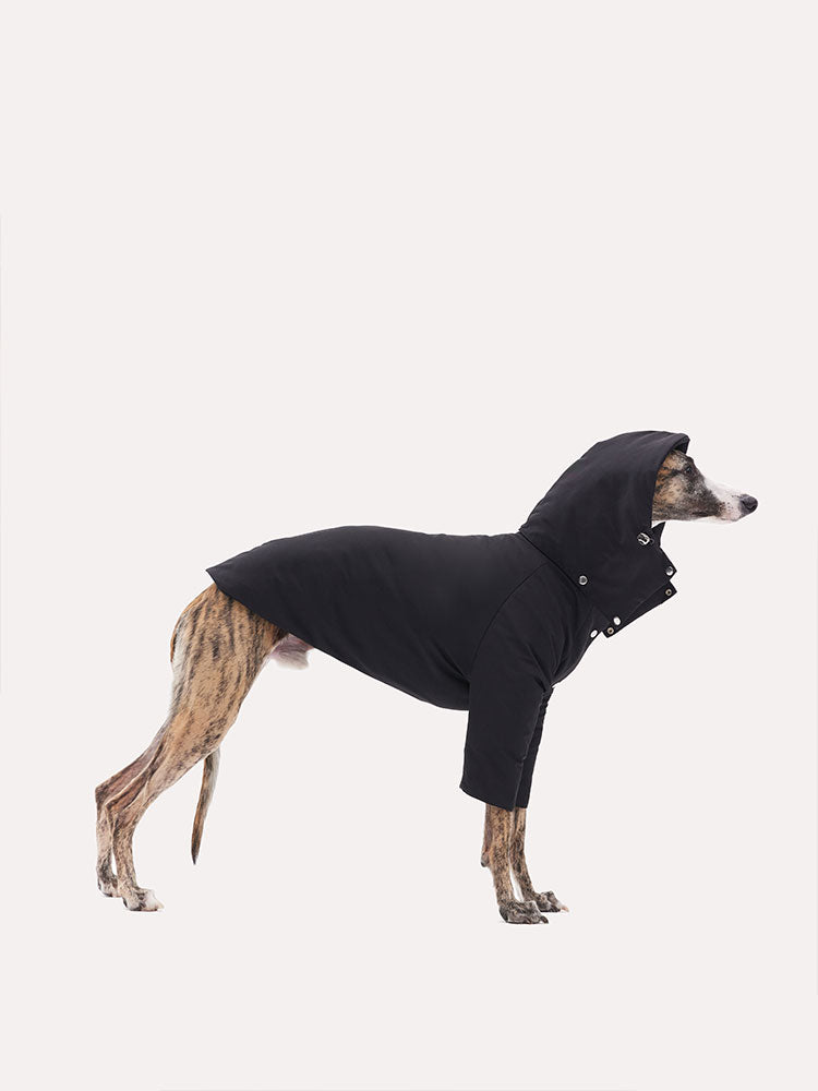 Dog wearing a black hooded down jacket shown in a full-body side view