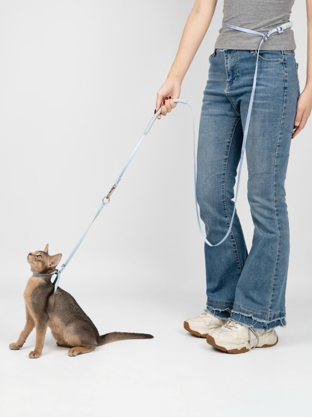 Cat wearing a collar connected to a blue adjustable cat leash used with hand and waist support