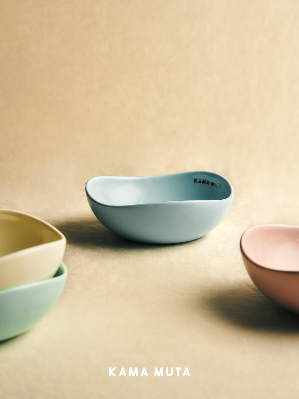 Designer ceramic pet bowls displayed in a calm home setting, blending pet essentials with interior decor.