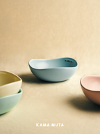 Designer ceramic pet bowls displayed in a calm home setting, blending pet essentials with interior decor.