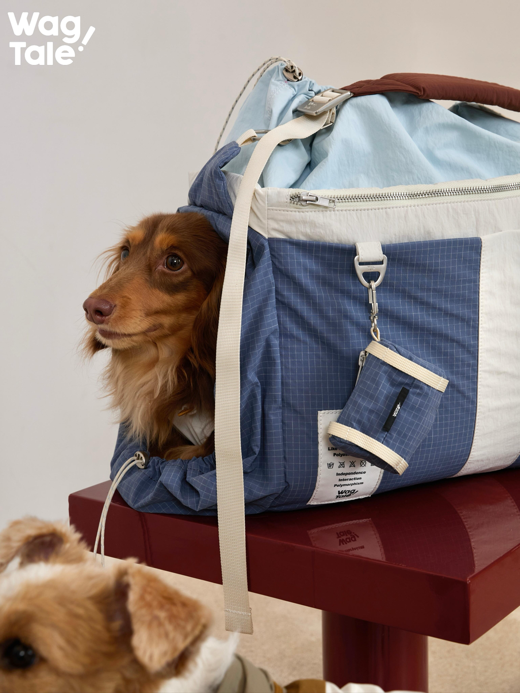 A long-haired dog looking out from the round opening of a blue fabric dog carrier placed on a table.