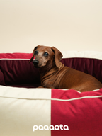 Close-up view of the raised bolster edge on a dog bed, designed to support the neck and create a sense of enclosure.