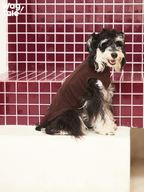 Small dog wearing a dark brown breathable dog jumper, shown in a seated pose that highlights the soft stretch fabric and smooth body coverage.